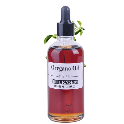 Essential oil bulk pure oregano essential oil