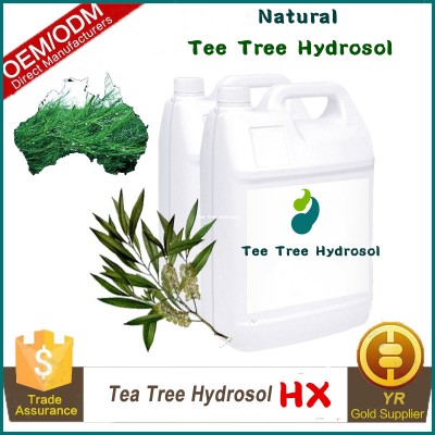 Organic Pure Australia pure naturalTee Tree Hydrosol Acne Clean Treatment Soothing Essential Water, Natural Hydrosol Wholesale