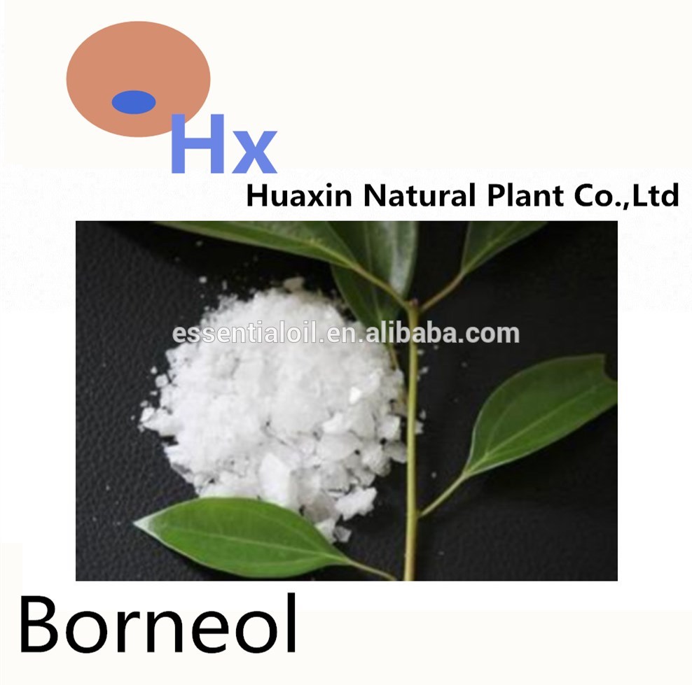 OEM supply Phytochemical Pure Natural Borneol