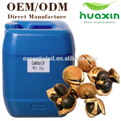 Fda Factory 100% Pure Camellia Japonica Seed Oil With Cheap Price For Vegetable Carrier Oil