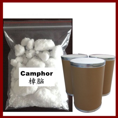 Camphor tree camphorated essential oils cinnamomum camphora